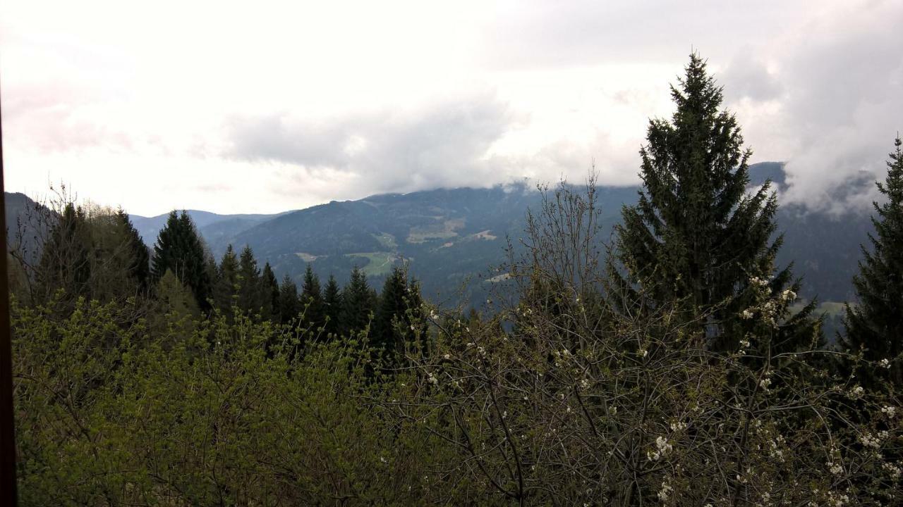 Rauter In Woellan Daire Arriach Dış mekan fotoğraf