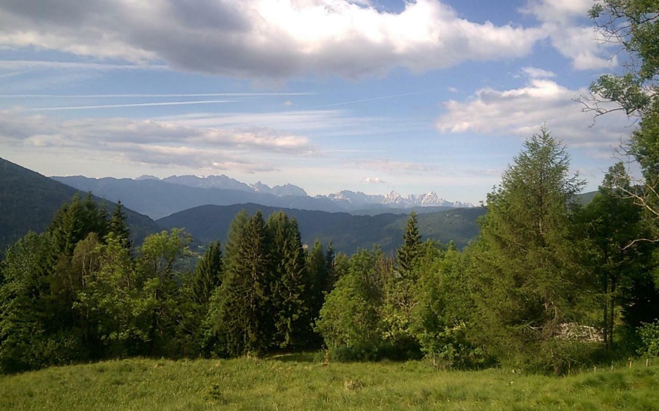 Rauter In Woellan Daire Arriach Dış mekan fotoğraf